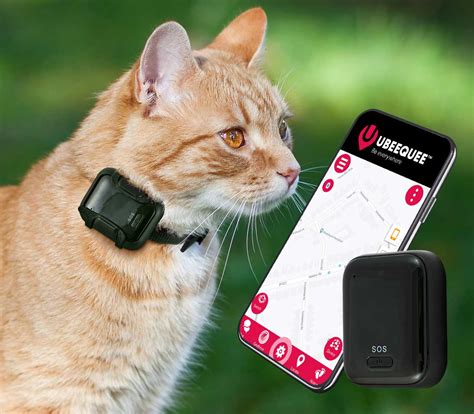 gps tracking for cats